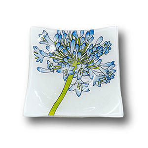 Agapanthus Square Round